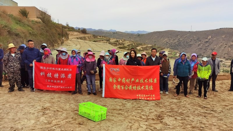 国家乡村振兴永靖科技特派团百合产业组开展科技培训