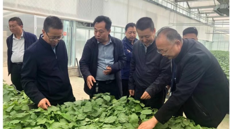 党委书记刘国汉赴定西、庆阳、平凉等地调研