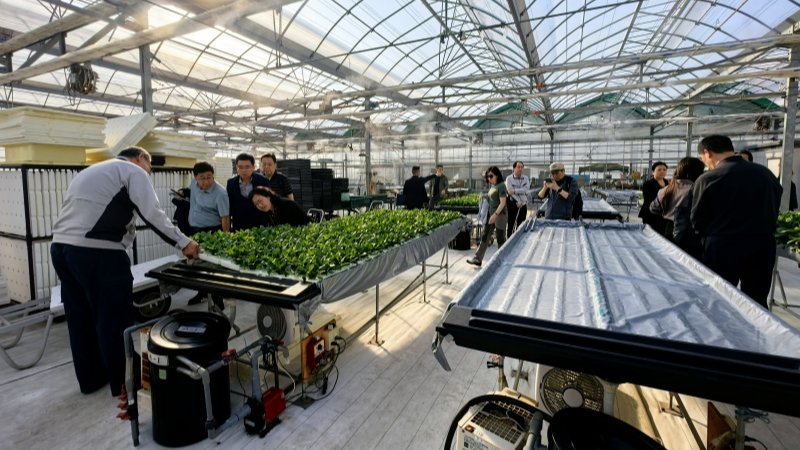 我院科研人员参加“2025中日智慧园艺与产业发展学术技术”交流活动