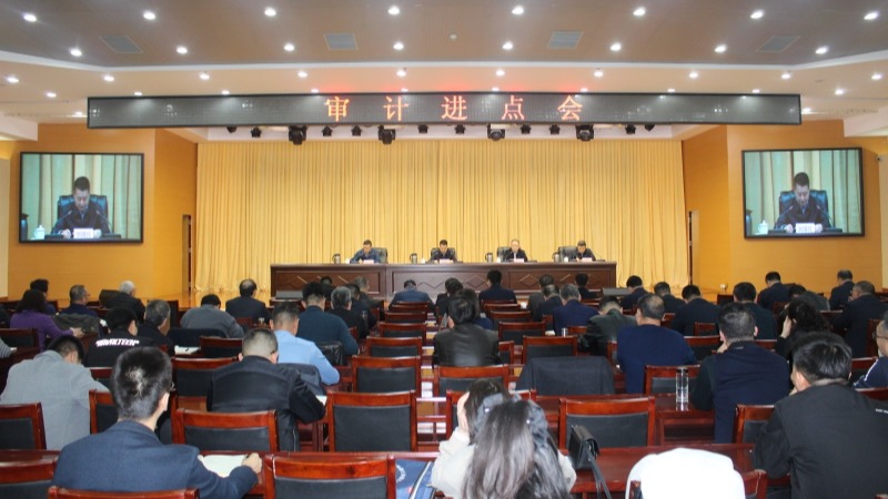 我院召开审计进点会议