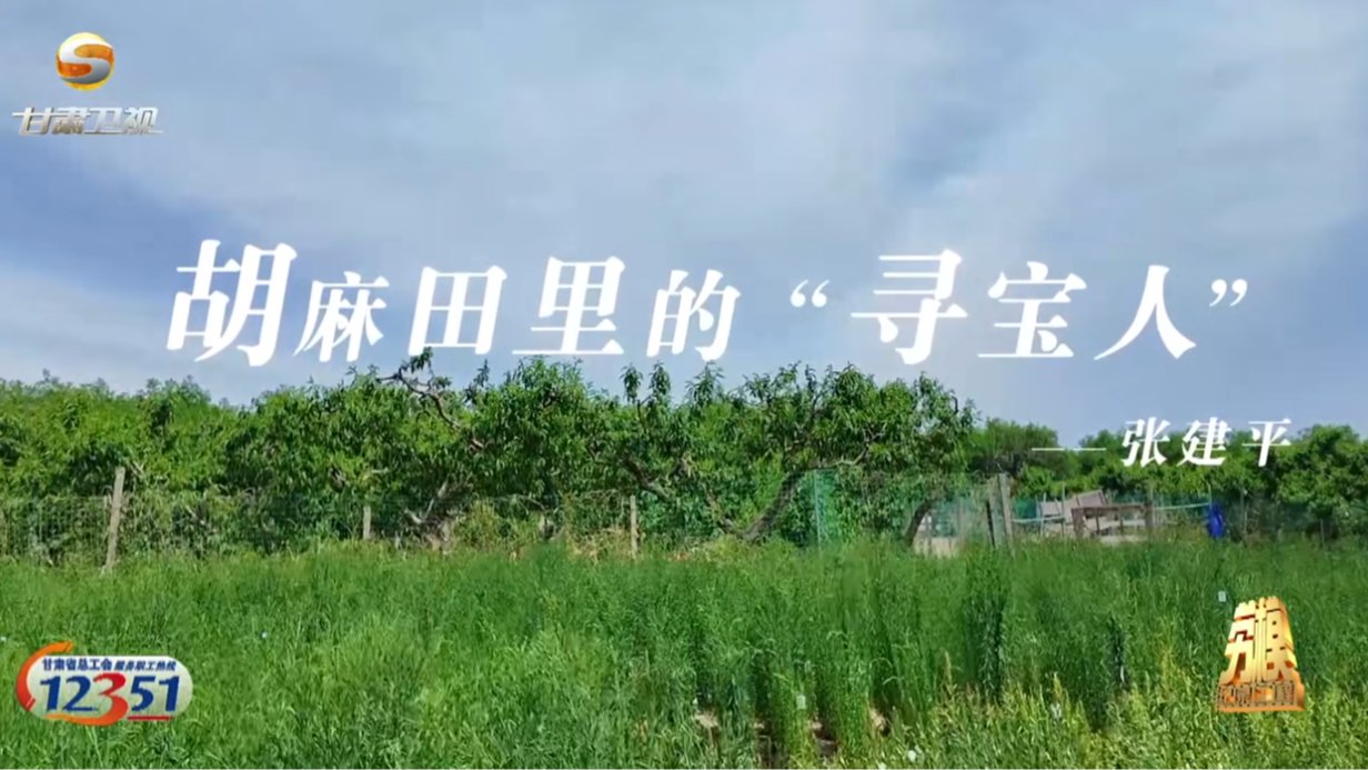 全国先进工作者、甘肃省农业科学院研究员——张建平