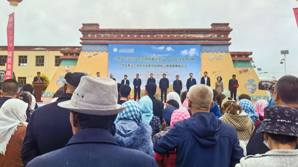 【新甘肃】甘肃省特色藜麦产业培育观摩研讨会举办