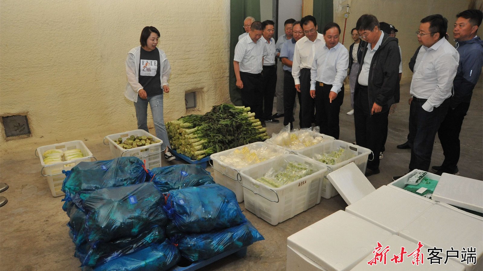 甘肃省农科院助力供港蔬菜冷链物流技术升级