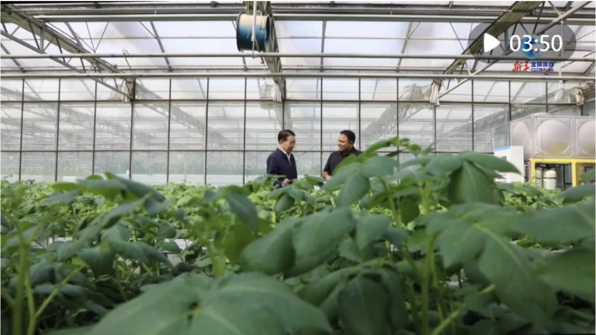 【新华社】全球连线｜巴基斯坦农业专家：西部大开发促进中国西部农业蓬勃发展