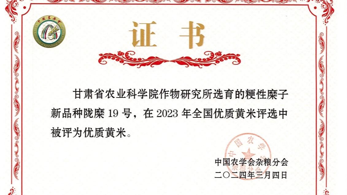 糜子新品种“陇糜19号”千亩示范田测产活动在会宁县举办