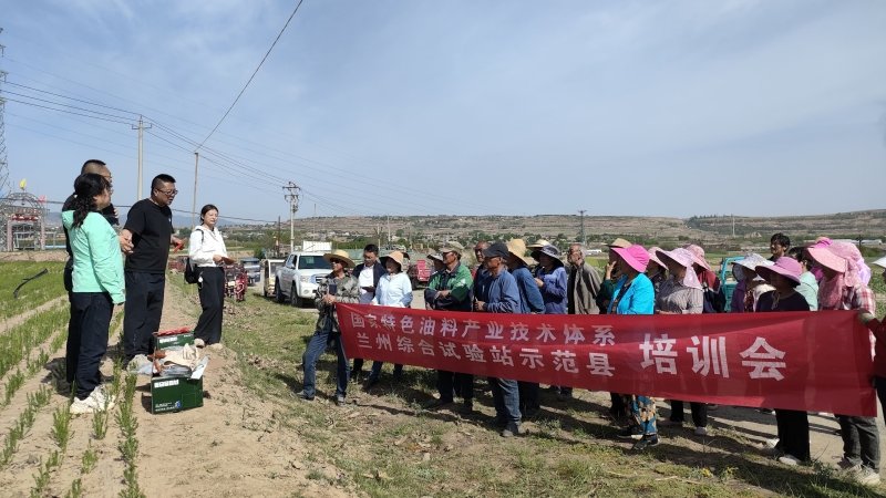国家特油体系胡麻兰州试验站赴榆中开展抗旱技术指导