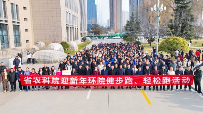 省农科院迎新年环院跑活动热力开跑