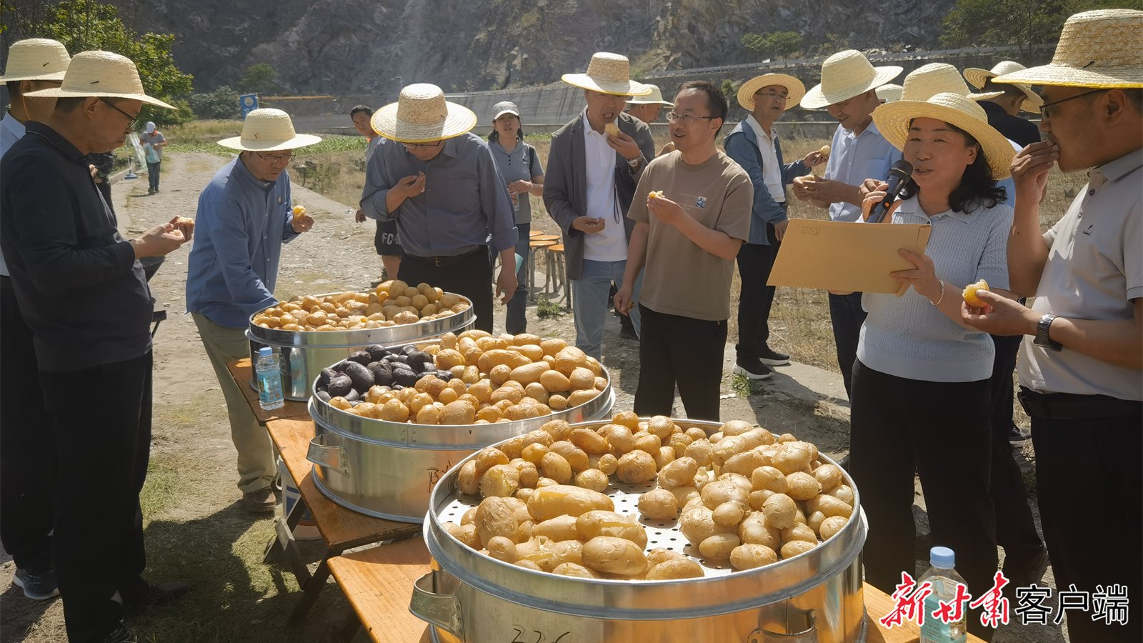 【新甘肃】专家为陇南马铃薯产业升级“开良方”