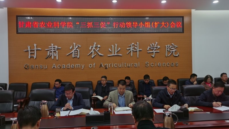 我院召开“三抓三促”行动领导小组（扩大）会议通报督查情况安排整改工作