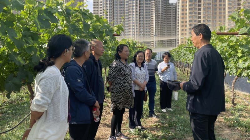 国家葡萄产业技术体系检查团赴我院兰州综合试验站检查指导