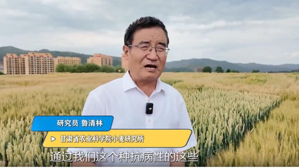 【视听甘肃】《科技工作者》——扎根陇原麦浪 四十载守护粮安