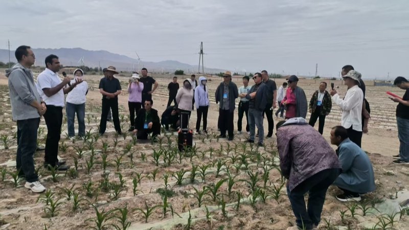 作物研究所与巴基斯坦专家合作开展抗盐碱技术培训