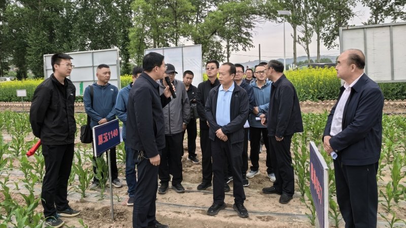 甘肃省玉米产业技术体系专家组赴广河县考察调研