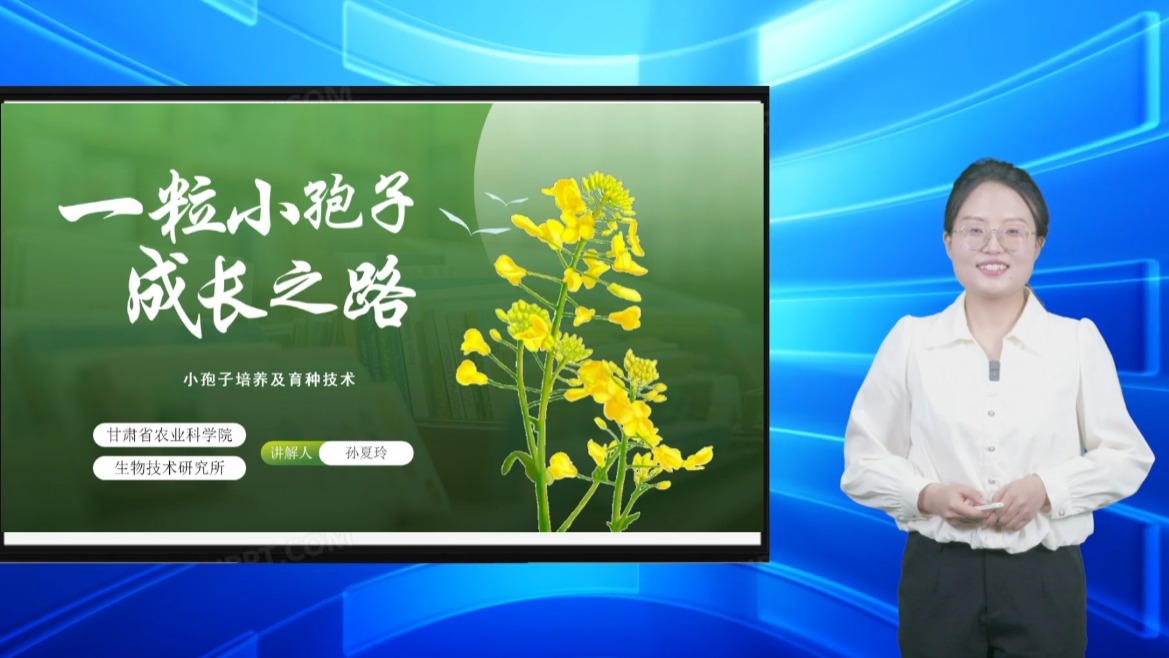 一粒小孢子的成长之路