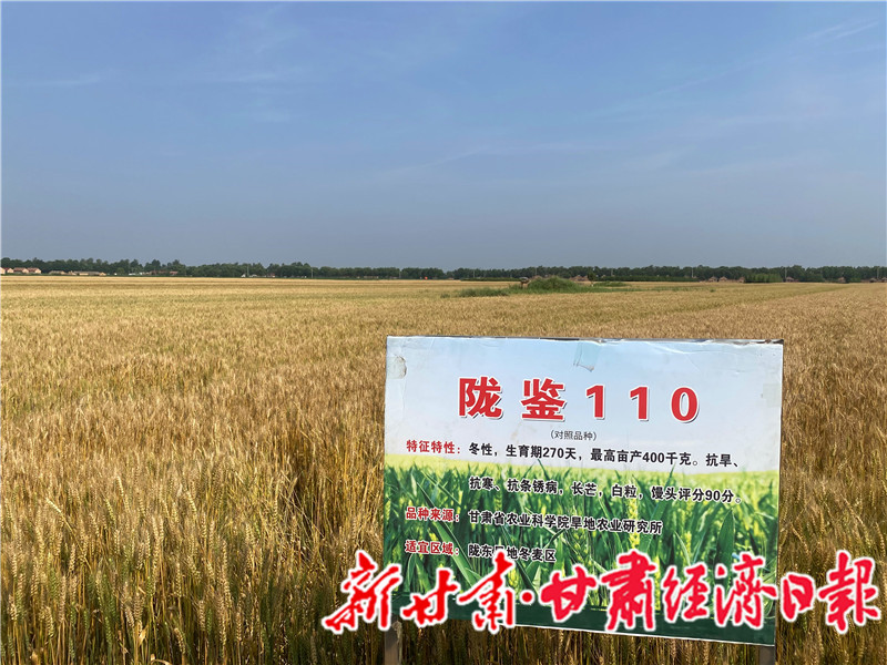 yes(一版头题,强信心稳经济促发展)试(23524974)-20230629091609