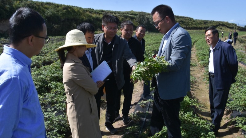 科技破题当归抽薹难关 创新引领产业提质增效