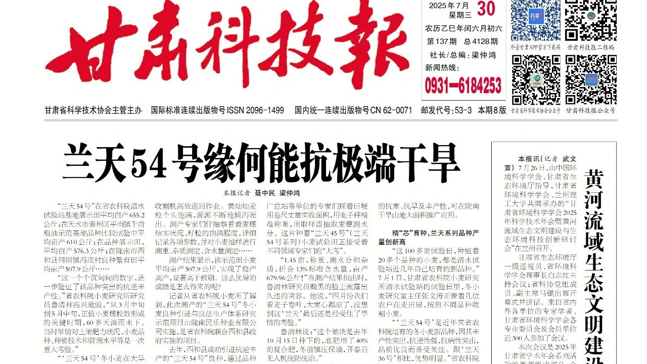 【甘肃科技报】兰天54号小麦缘何能抗极端干旱