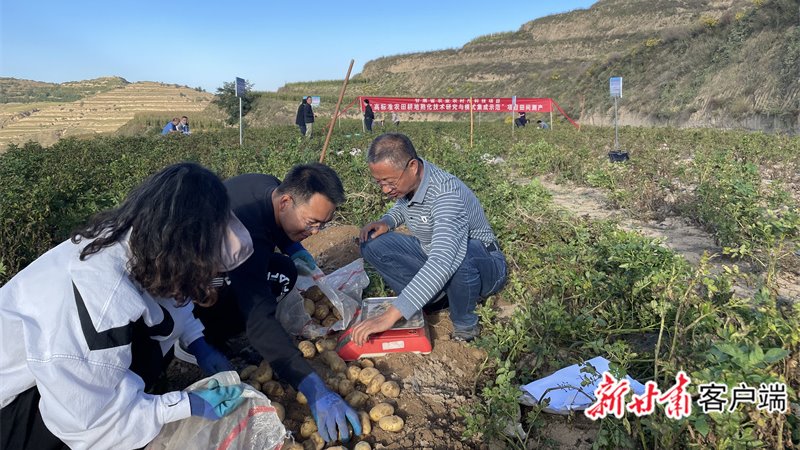 【新甘肃】科技创新助力甘肃旱作农业“提档升级”