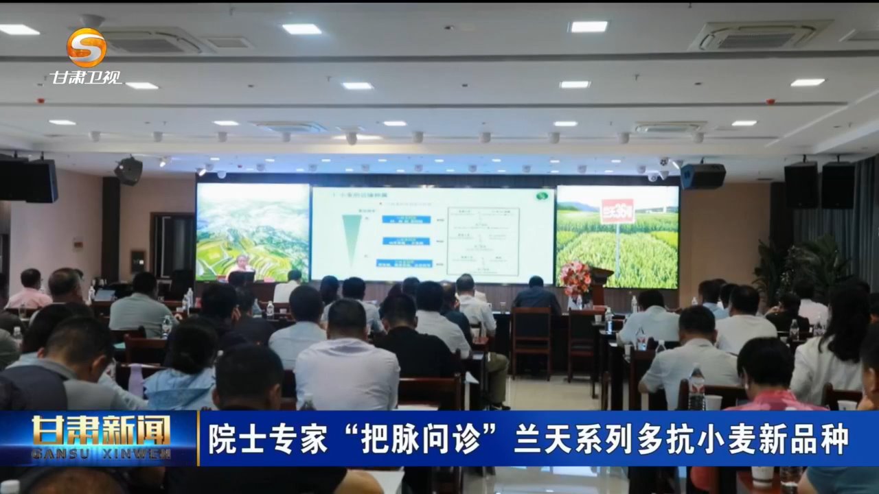甘肃新闻｜院士专家“把脉问诊”兰天系列多抗小麦新品种