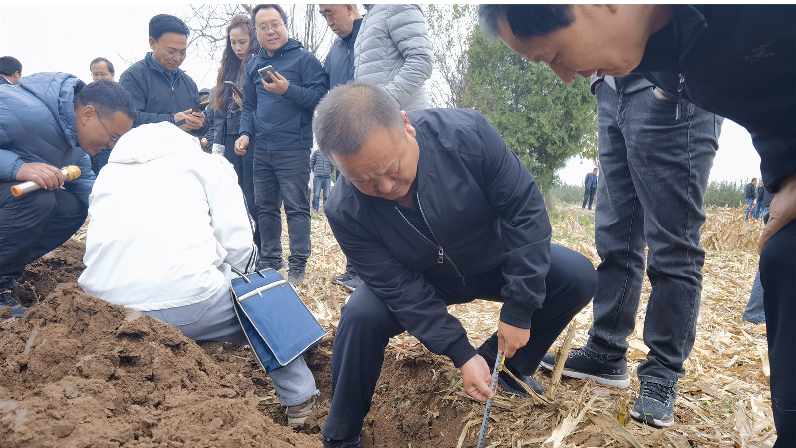 陇东旱塬玉米吨粮田的“科技密码”——探访甘肃省农科院玉米高产种植新技术应用