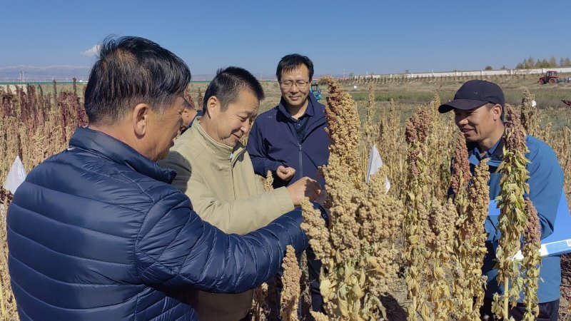 院党委书记刘国汉赴畜草所天祝藜麦试验站调研