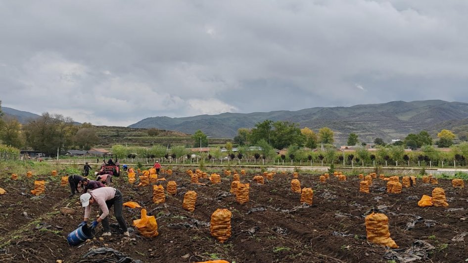 【中国科技网】国家科技特派团：为陇原乡村振兴添“智”提“质”
