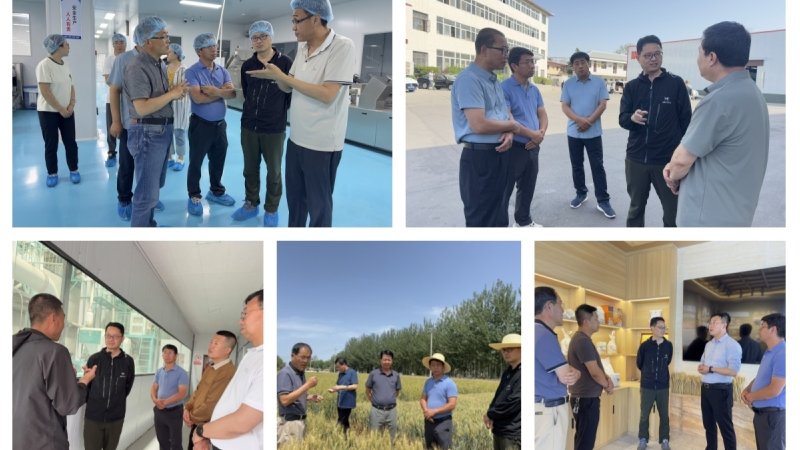 我院小麦所组织专家深入陇东南地区开展小麦面粉品质专项调研