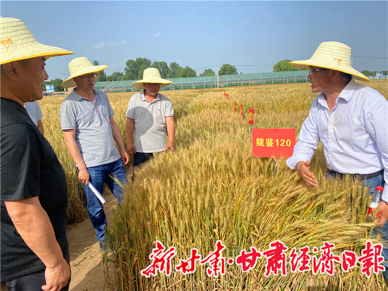 yes(一版头题,强信心稳经济促发展)试(23524976)-20230629091613