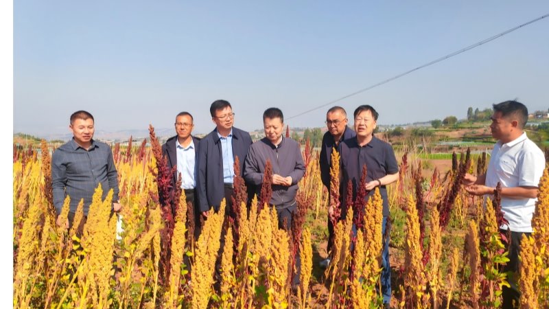 刘国汉赴云南省农业科学院、贵州农业科学院进行调研