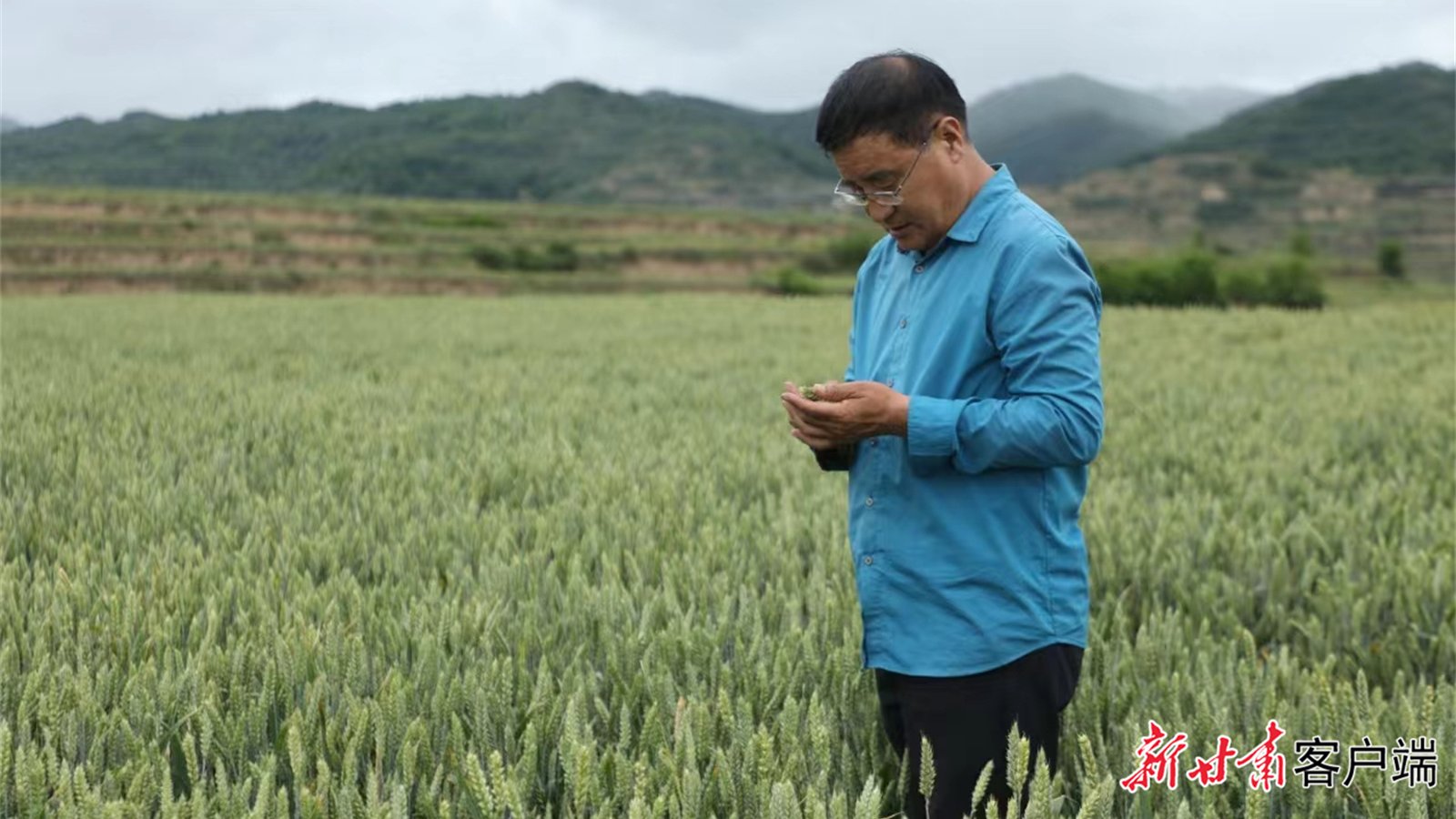 【新甘肃】【感动甘肃·陇人骄子】黄土地上的“麦田守望者”——记2024年度“感动甘肃·陇人骄子”称号获得者鲁清林