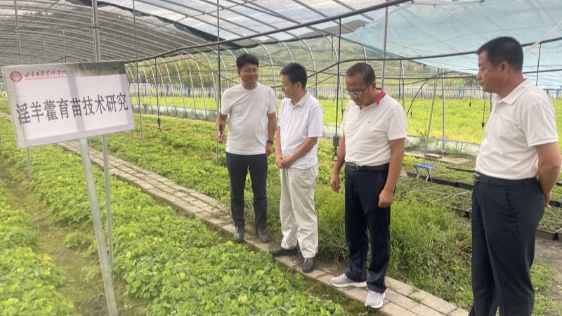 刘国汉赴定西开展中药材、马铃薯产业调研