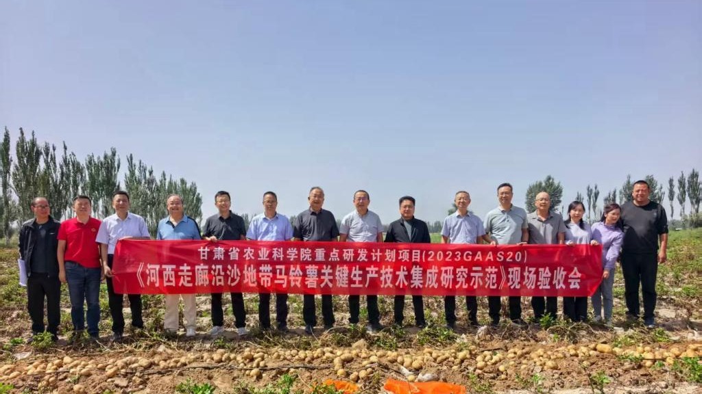 省农科院重点研发计划“河西走廊沿沙地带马铃薯生产关键技术集成研究示范”项目顺利通过现场测产验收
