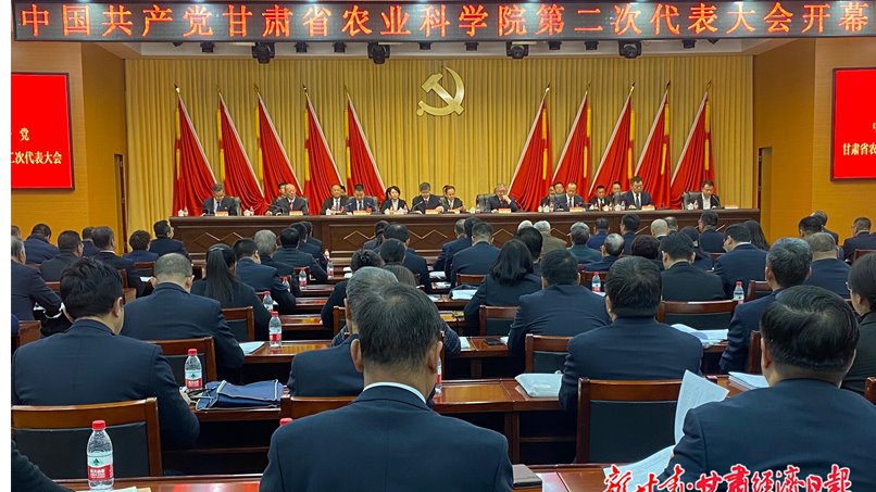 【新甘肃】科技赋能绘就陇原好“丰”景——省农科院支撑甘肃农业高质量发展观察