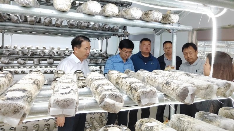 院长马忠明率知联会开展农业高质量发展观摩调研活动