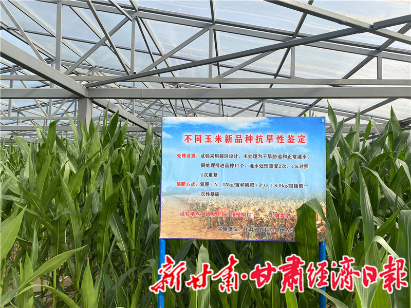 yes(一版头题,强信心稳经济促发展)试(23524972)-20230629091605