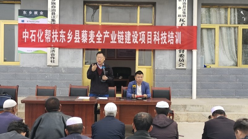 畜草所藜麦团队深入东乡县开展藜麦种植技术培训