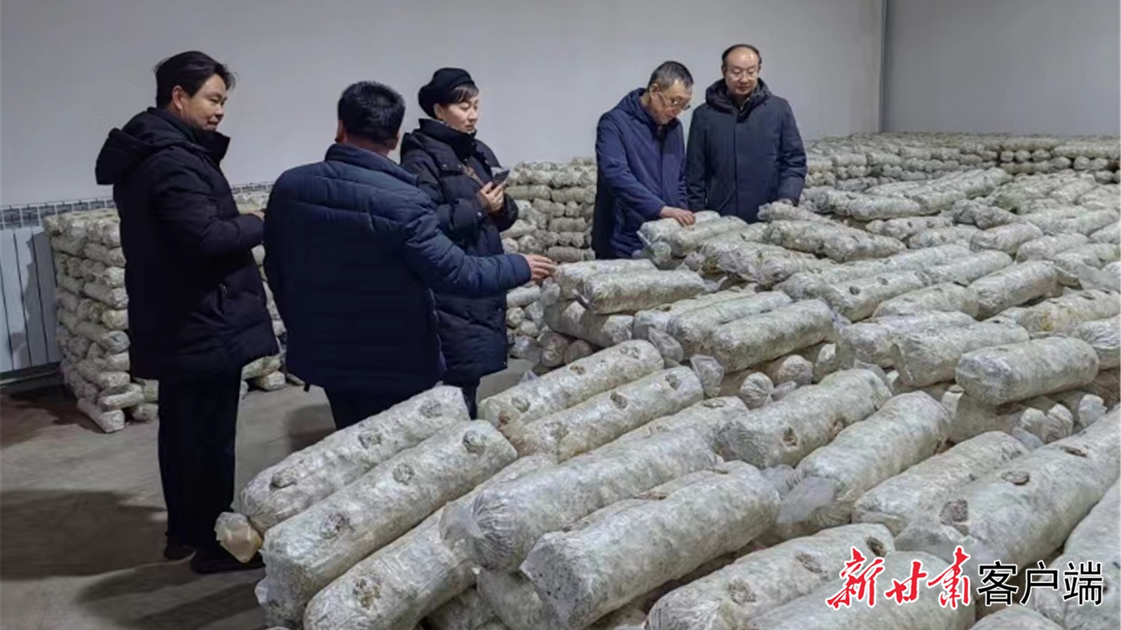 【新甘肃】积石山的“农科小院”——甘肃省农科院专家团队助力积石山县农牧业发展