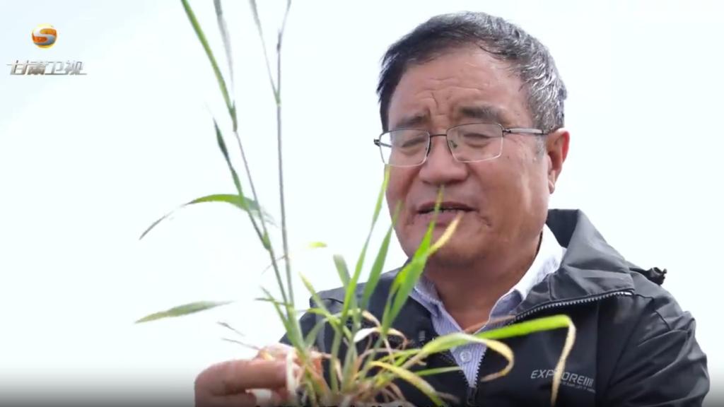 【视听甘肃】2024年度“感动甘肃·陇人骄子”——鲁清林